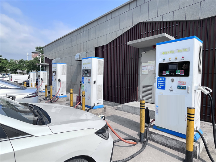 ��֪���綯�������׮���ʵ����������