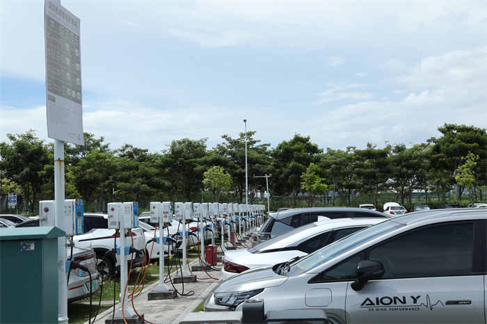 ��֪���綯�������׮��ʲô��